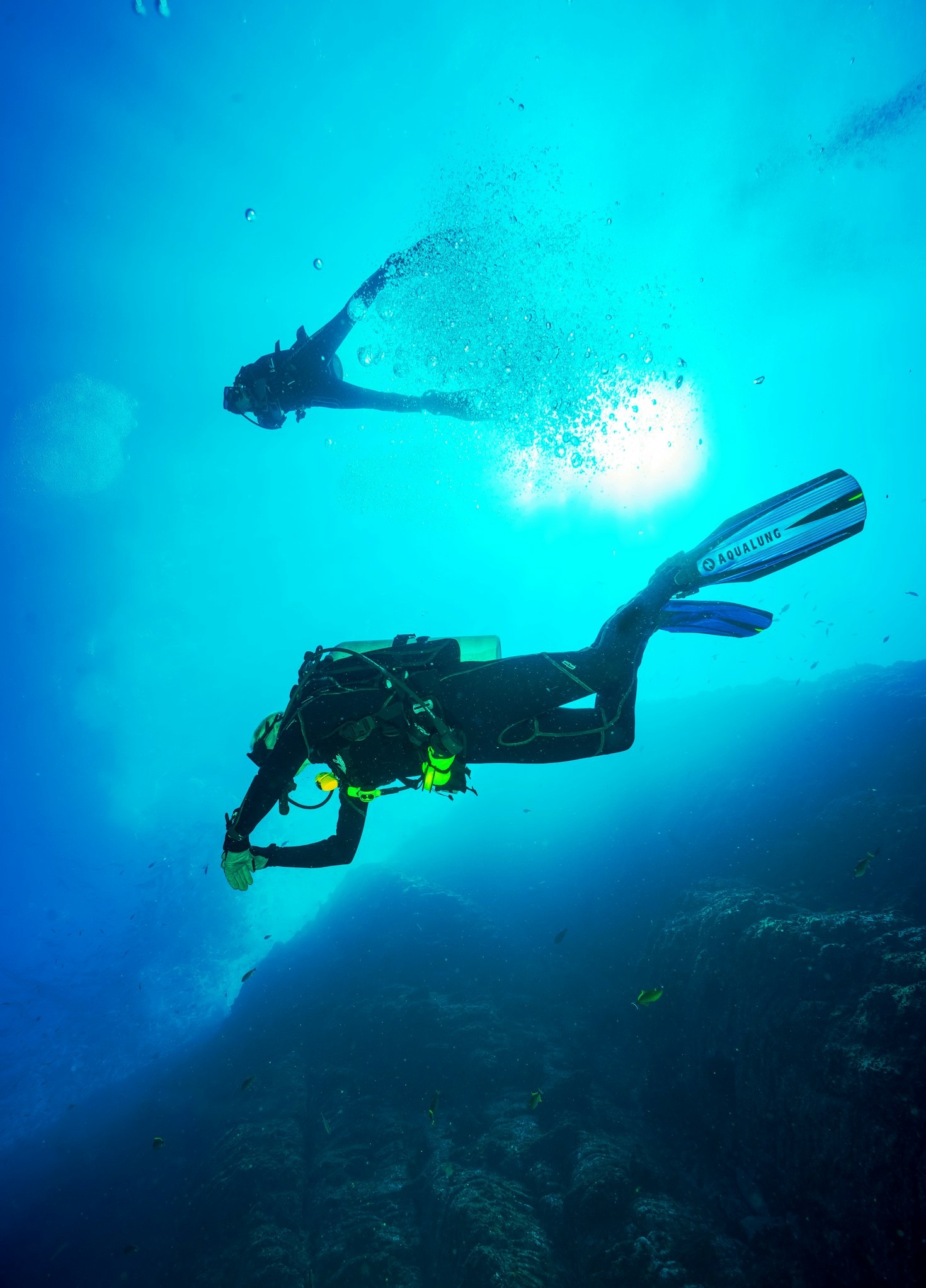 Fotografia Subaquática: Capturando a Beleza do Mundo Submarino